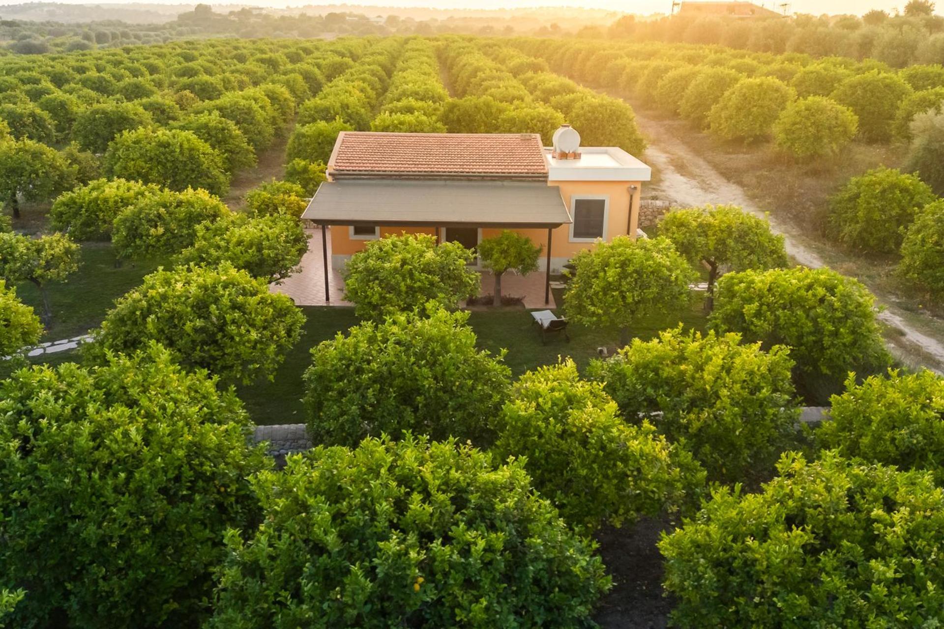 Fiore Di Vendicari B&B - Sicilian Charme, Lemon Grove And Sea Noto Exterior foto